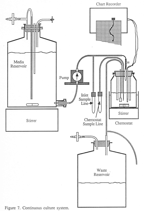 Diagram of continuous culture system from Michael Rouse's master's thesis