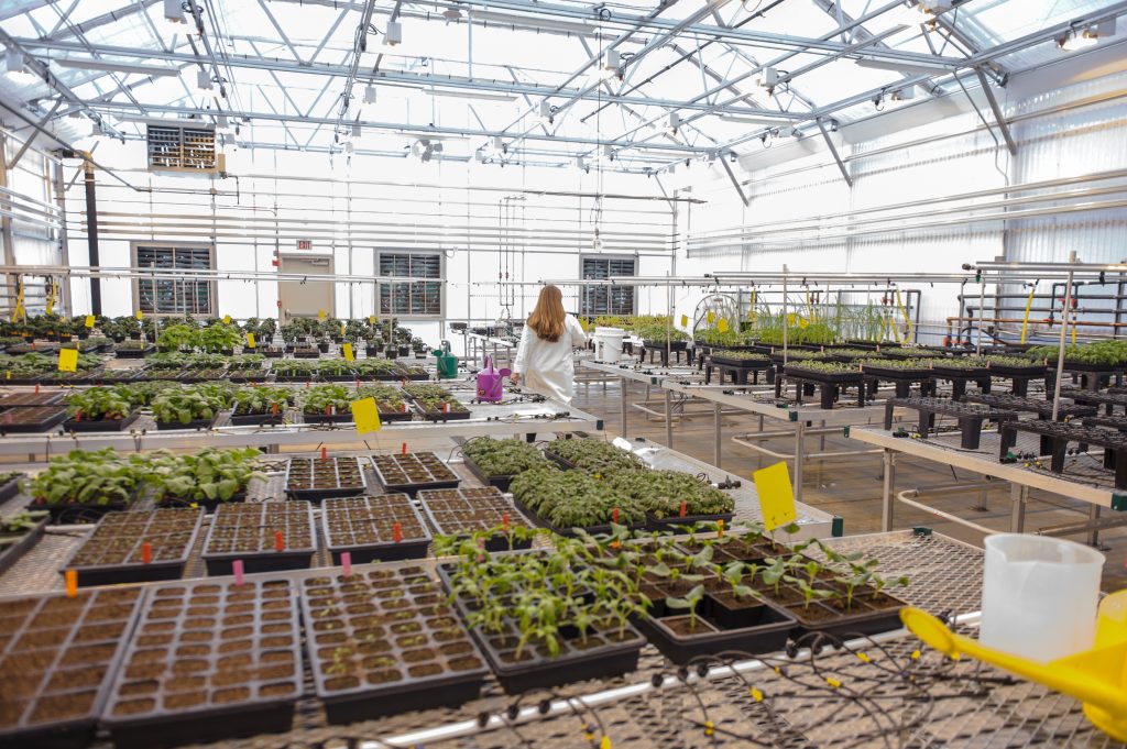 Valent BioSciences Biorational Research Center greenhouse